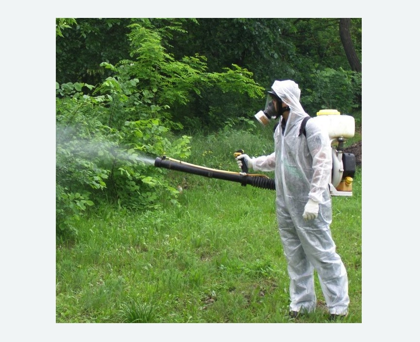 обработка территории от клещей в Касимове