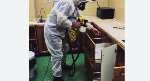 Уничтожение насекомых в квартире. Касимов