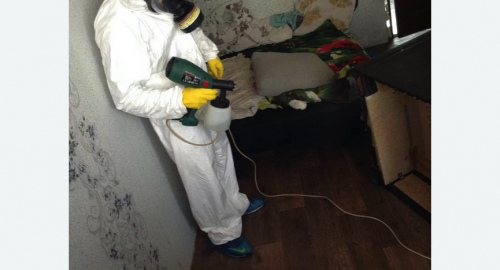 Обработка квартир от насекомых в Касимове