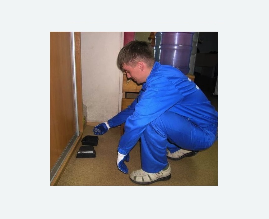 Дератизация крыс в Касимове