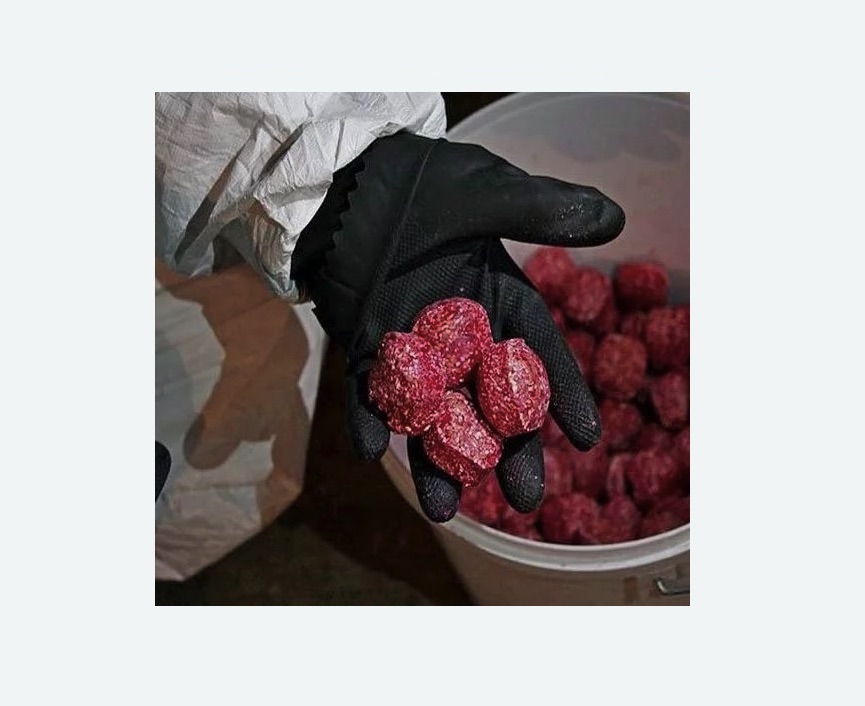 Обработка от крыс в Касимове