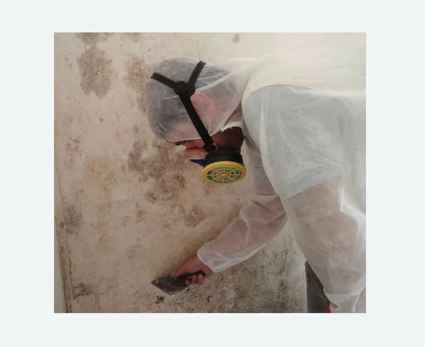 Обработка стен от плесени в Касимове