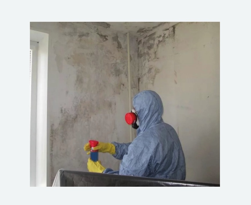 Удаление плесени в квартире в Касимове