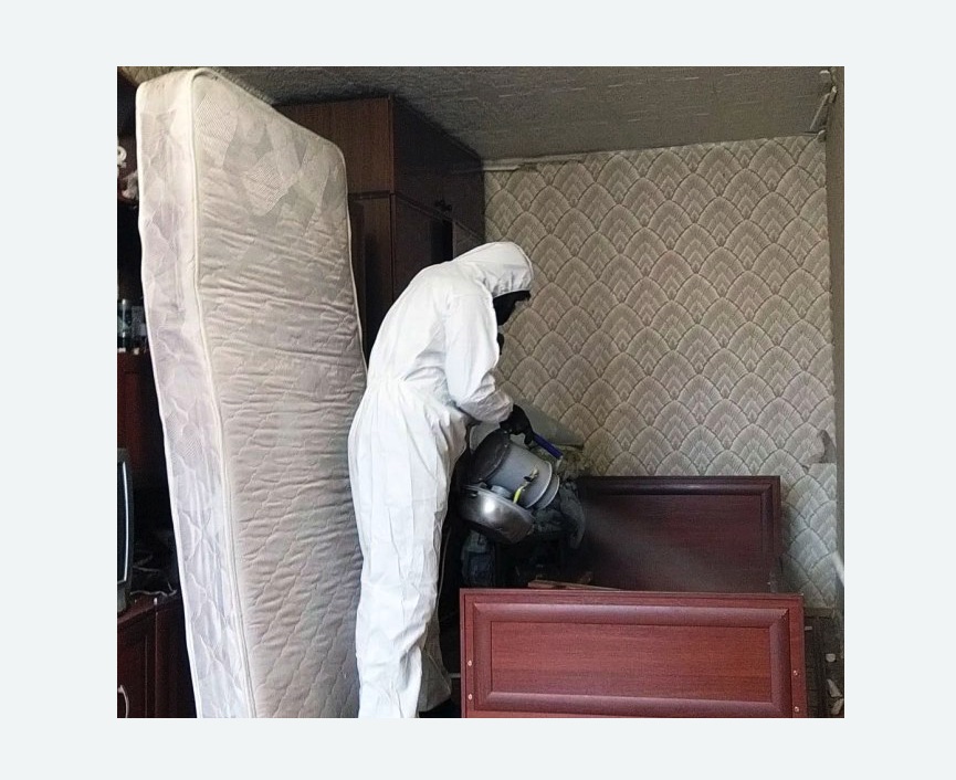 дезинфекция от клопов в Касимове