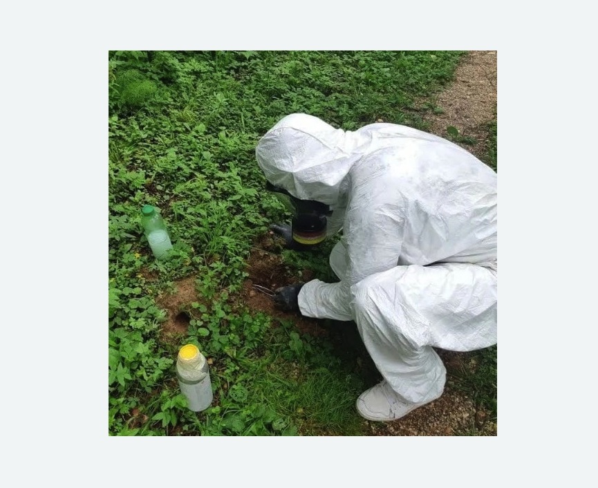 уничтожение кротов на участке в Касимове